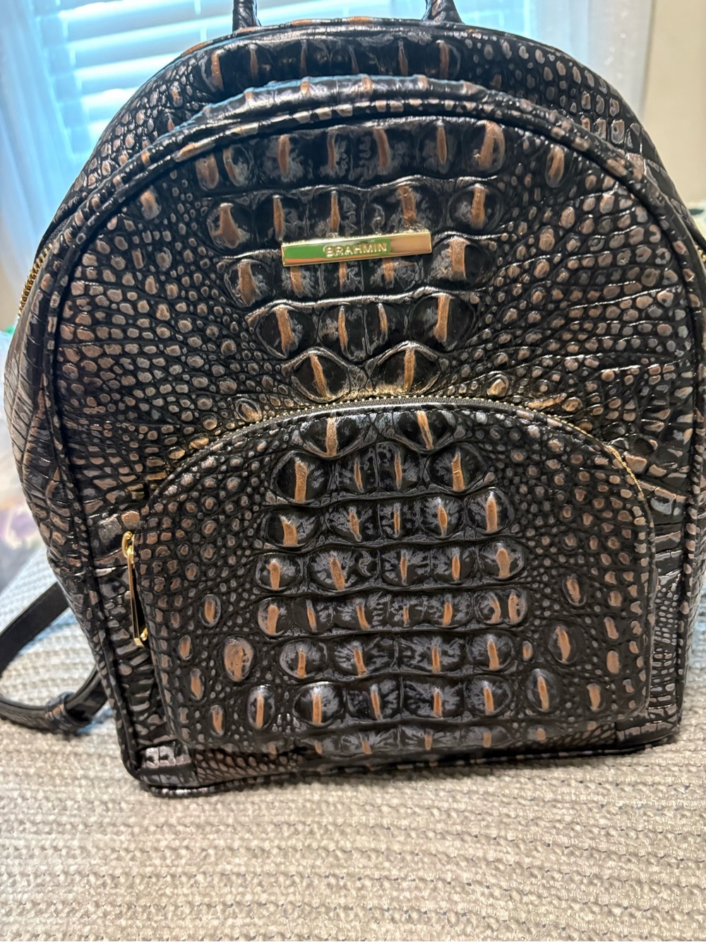 Brahmin Black and Brown Croc-Embossed Mini Backpack with Gold Plaque Accent